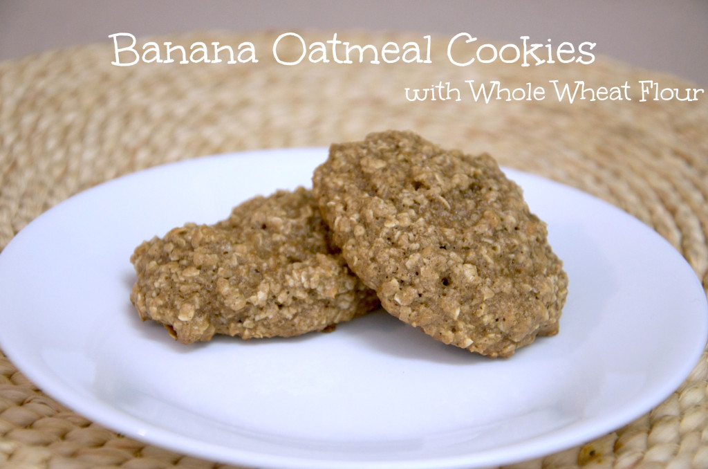 Oatmeal Cookies2