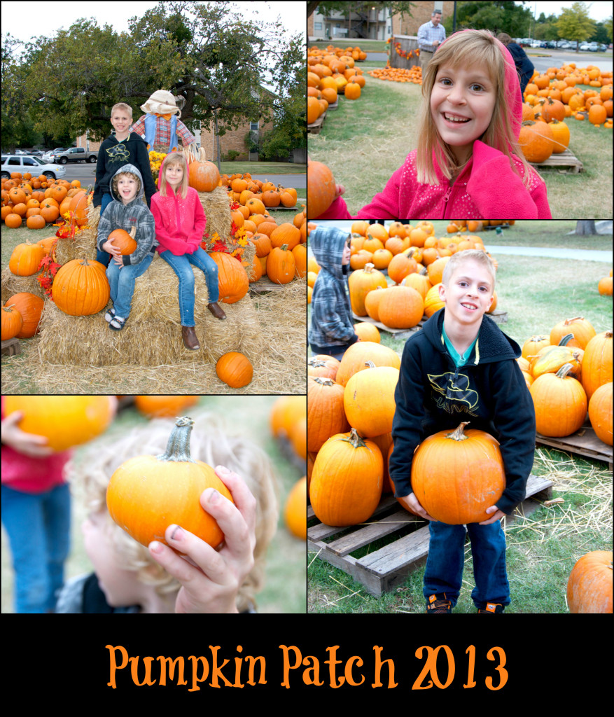 Pumpkin Masters Collage 2